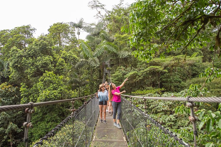 Arenal volcano, hanging bridges and sloth encounter tour.
