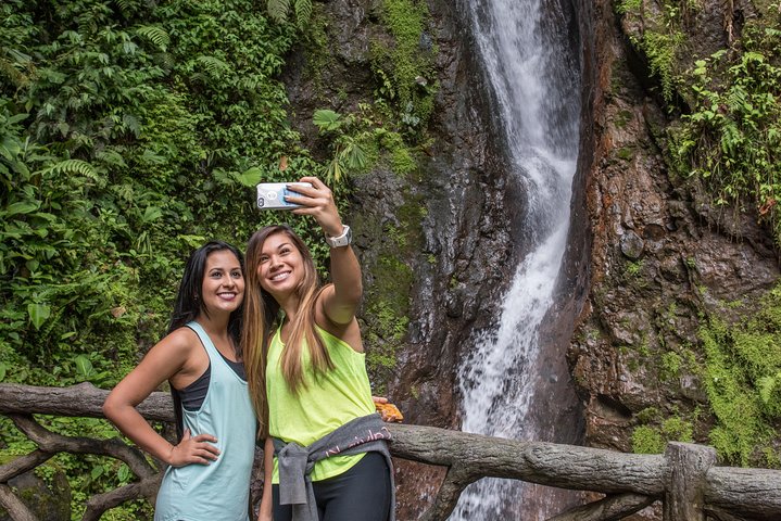 Arenal volcano, hanging bridges and sloth encounter tour.
