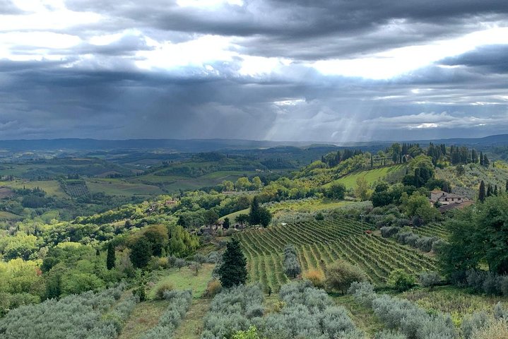 Private Tour in Siena, San Gimignano and Chianti Day Trip from Florence