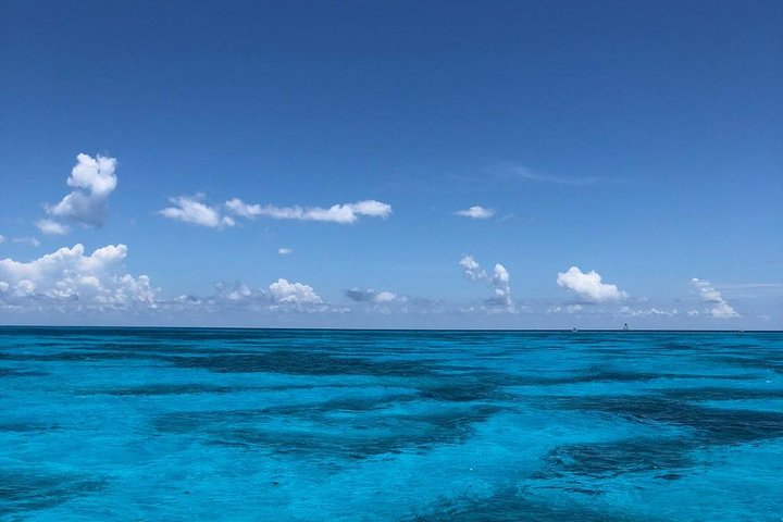 Key Largo Coral Reef Glass Bottom Boat Adventure