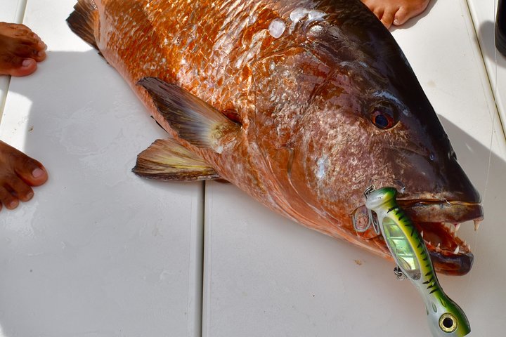 Offshore Sport & Flyfishing - 7 hours