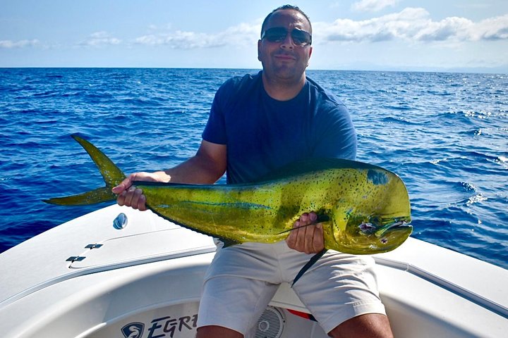 Offshore Sport & Flyfishing - 7 hours