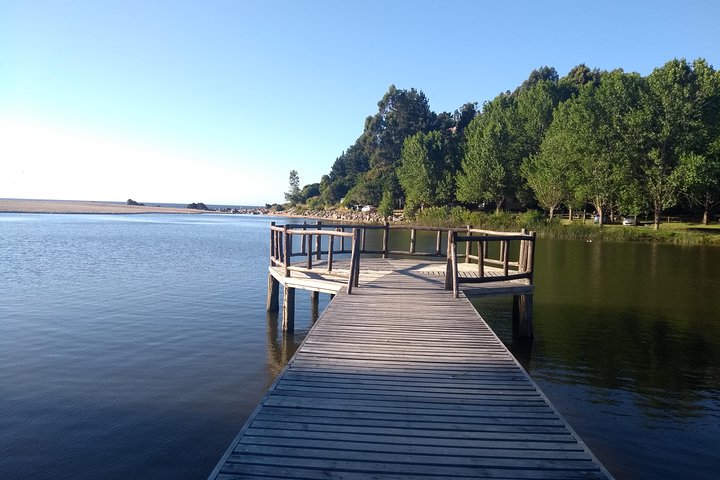 Tour around the Coast Towns in Tomé & Dichato