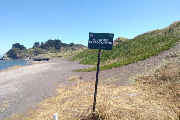 Biobío River Estuary and Rocoto Beach