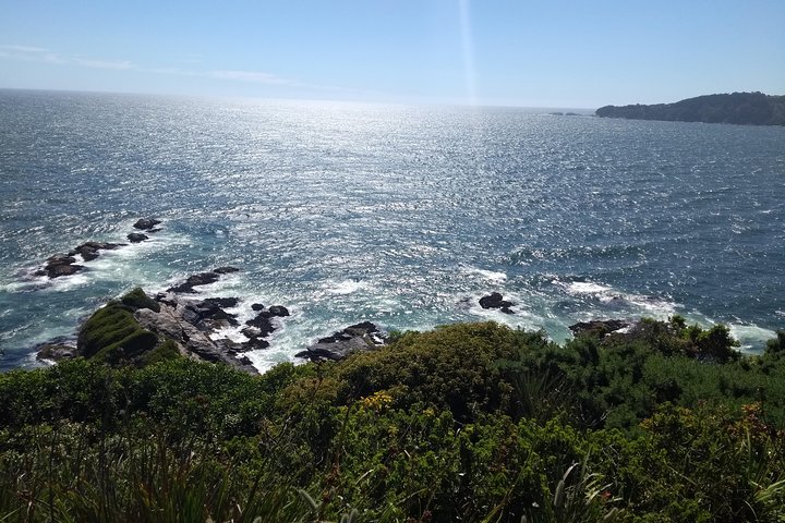Biobío River Estuary and Rocoto Beach
