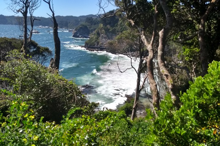 Biobío River Estuary and Rocoto Beach
