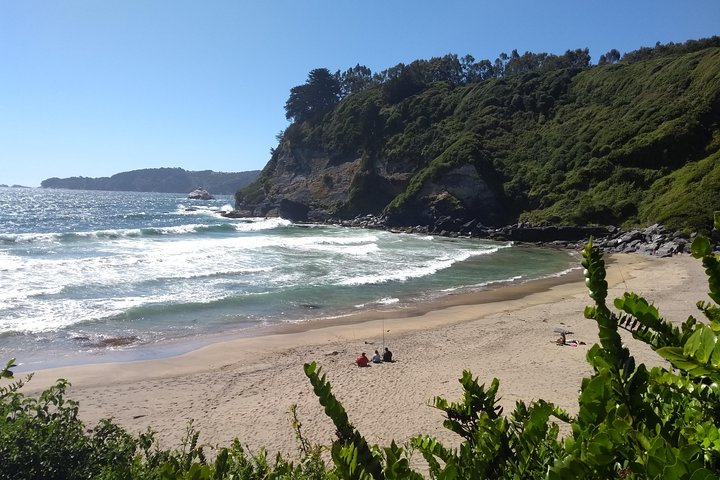 Biobío River Estuary and Rocoto Beach