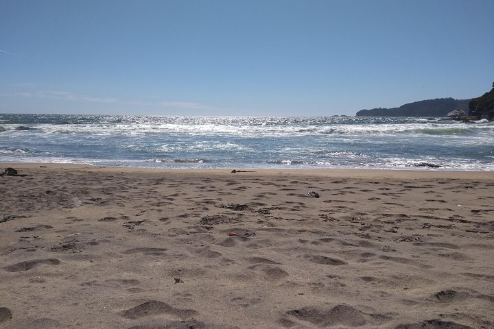 Biobío River Estuary and Rocoto Beach