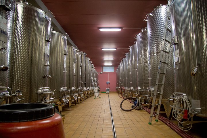 Grand tour of Valpolicella : Amarone focus, 2 Wineries and Lunch