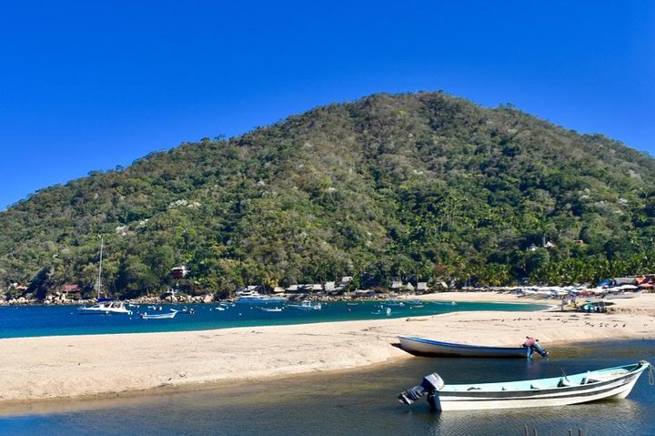 Private Bay Tour (Whales/Marine Life Encounters, Visit Yelepa Waterfall & Beach)