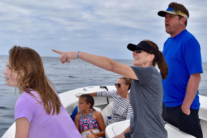 Private Bay Tour (Whales/Marine Life Encounters, Visit Yelepa Waterfall & Beach)