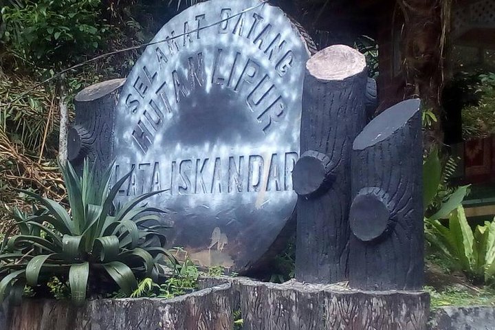 Cameron Highlands Sightseing Tour