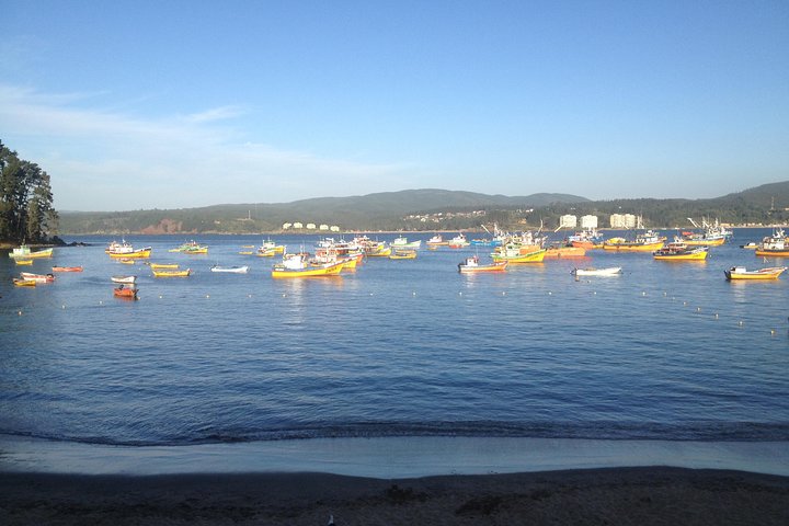 Tour around the Coast Towns in Tomé & Dichato