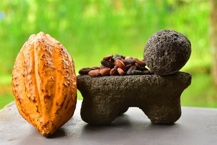 Chocolate Experience in Jaco Beach and Los Suenos