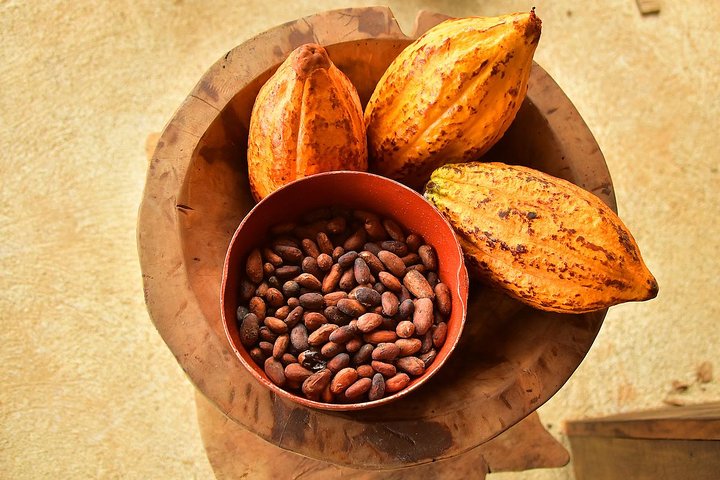 Chocolate Experience in Jaco Beach and Los Suenos