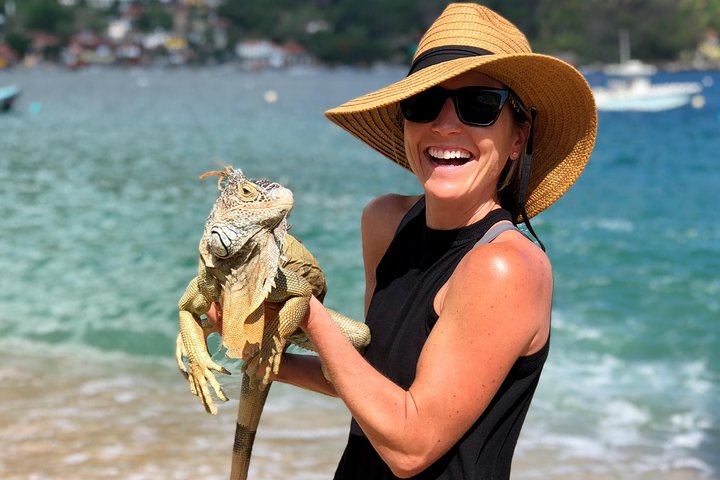 Private Bay Tour (Whales/Marine Life Encounters, Visit Yelepa Waterfall & Beach)