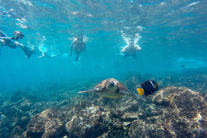 Full Day Tour Pinzon Island + La Fe/Las Palmas - Snorkeling & Fishing