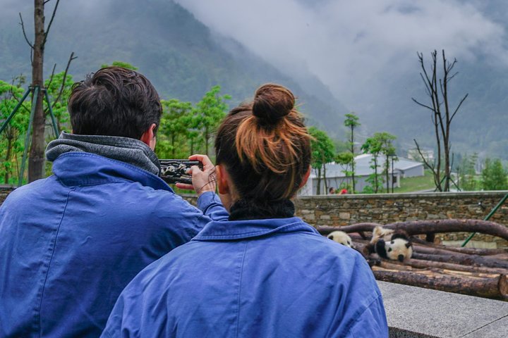 a better Panda Volunteer Experience at the Best panda base - WOLONG