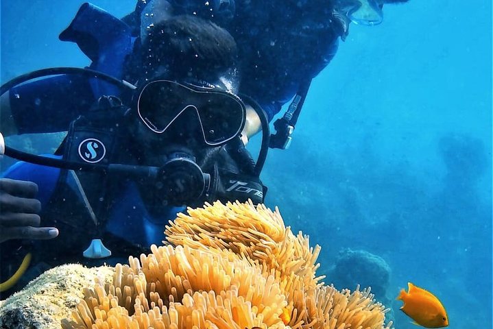 Boat Scuba Diving at Neil Island