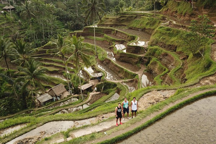 Ubud Top Attractions: Waterfalls, Temples and Rice Terraces