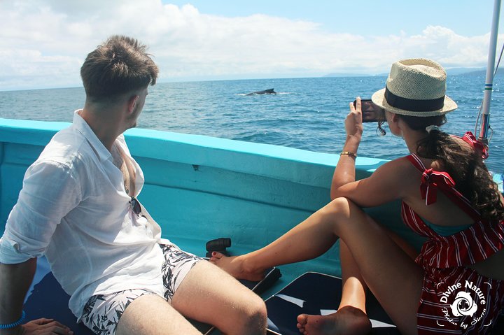 Dolphin and Whale Watching Tour in Drake Bay as seen on National Geographic