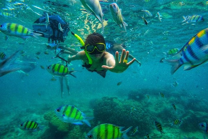 Phi Phi Islands Adventure Day Trip w/ Seaview Lunch by V. Marine
