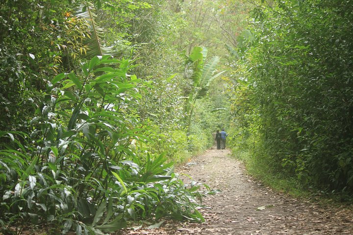 Madagascar Wildlife Tour for 02 days