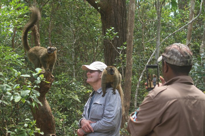 Madagascar Wildlife Tour for 02 days