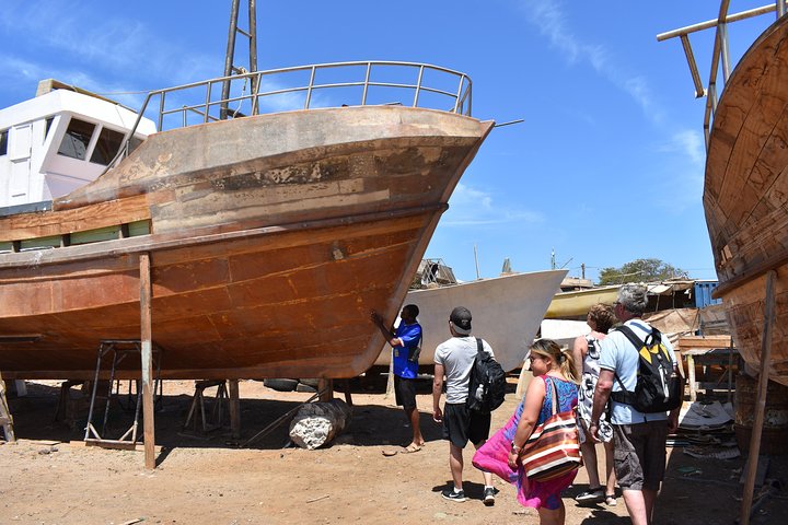 Sal Island Full-Day Tour with Native Certified Guide