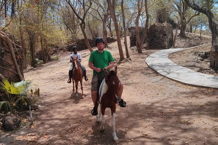 East Coast Horseback Riding & Waterfall Excursion