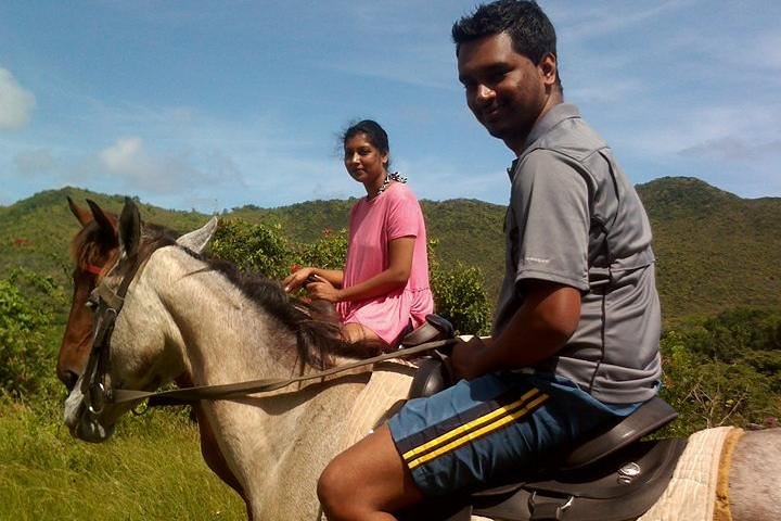 East Coast Horseback Riding & Waterfall Excursion