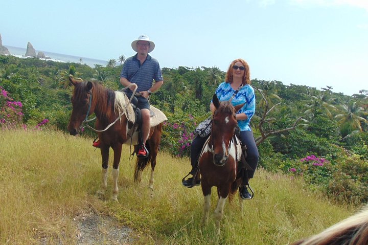 East Coast Horseback Riding & Waterfall Excursion