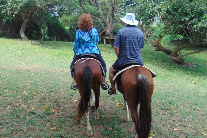 East Coast Horseback Riding & Waterfall Excursion