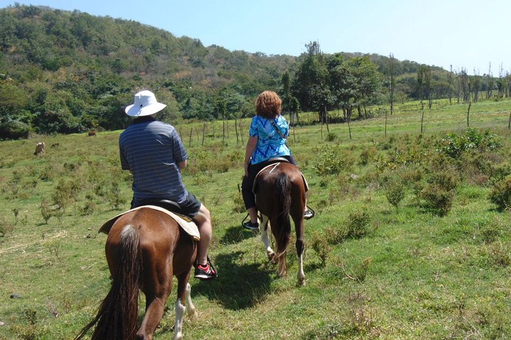 East Coast Horseback Riding & Waterfall Excursion