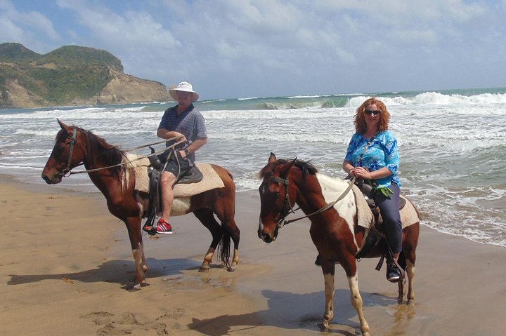 East Coast Horseback Riding & Waterfall Excursion