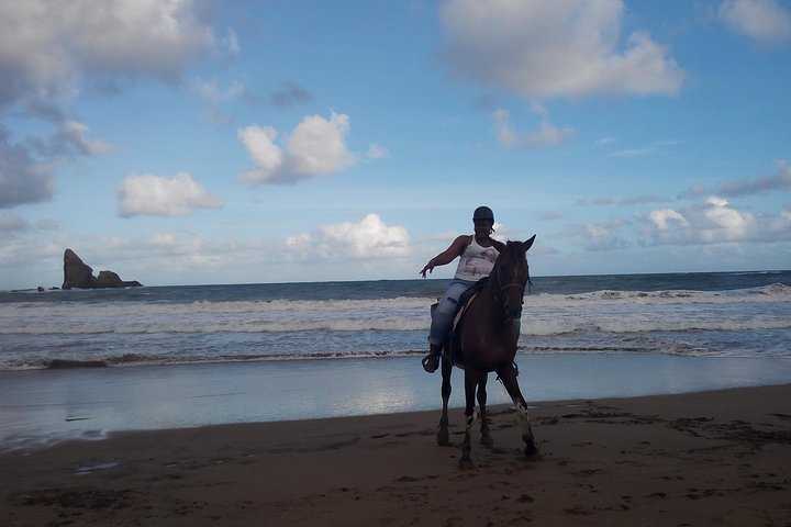 East Coast Horseback Riding & Waterfall Excursion