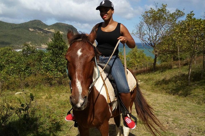 East Coast Horseback Riding & Waterfall Excursion