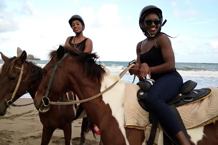 East Coast Horseback Riding & Waterfall Excursion
