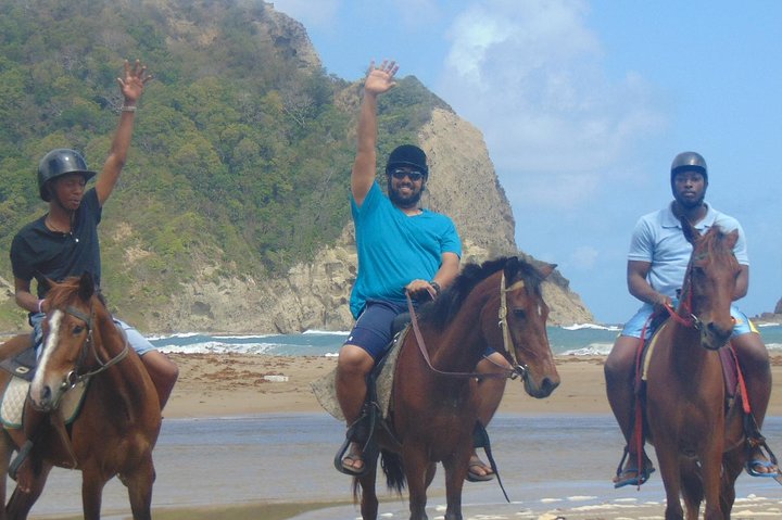 East Coast Horseback Riding & Waterfall Excursion