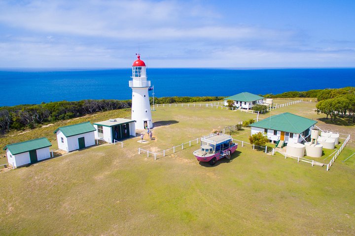 Full-Day 1770 Tour by LARC Amphibious Vehicle Including Sandboarding and Bustard Head Lightstation