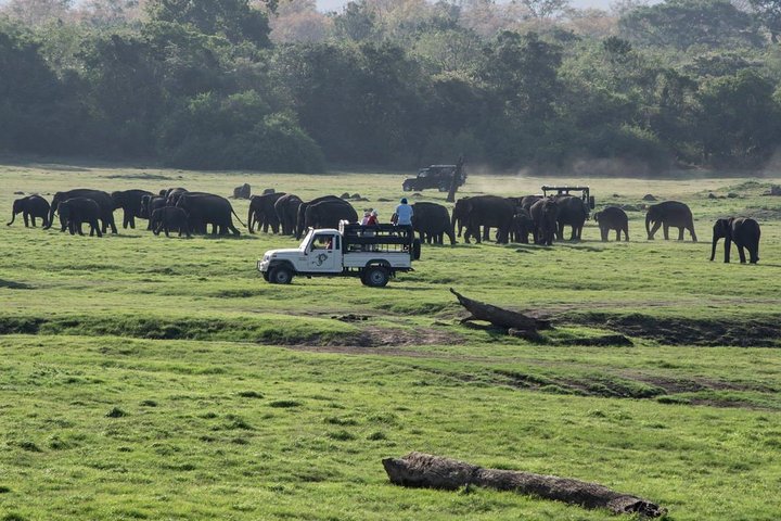 Udawalawe Private Safari frm Hambantota Port by BTM-All Inclusive