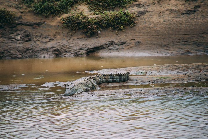 Yala Safari Private Day Trip with Return Transport -All Inclusive