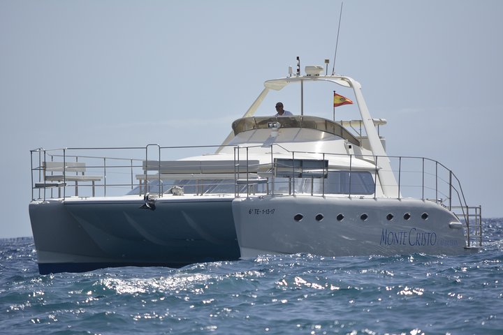 Whale and Dolphin Watching Catamaran with Transfer and Buffet