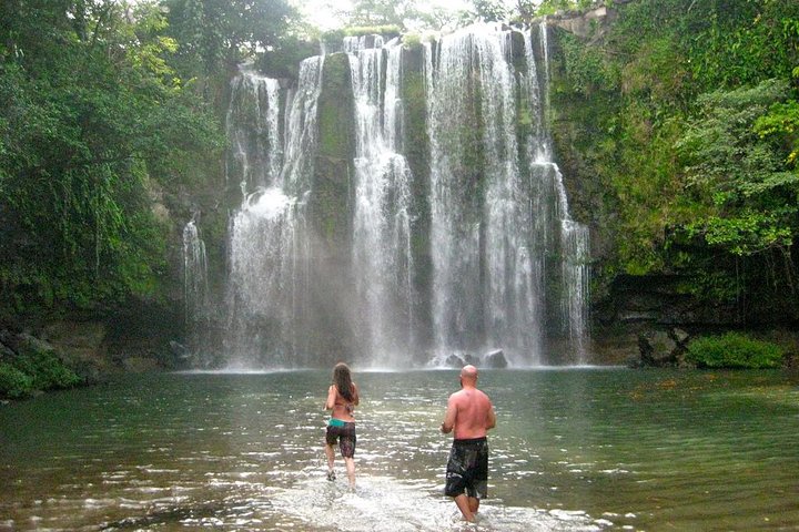 Tropical Rainforest, Hanging Bridges And Jungle Sloths Sanctuary