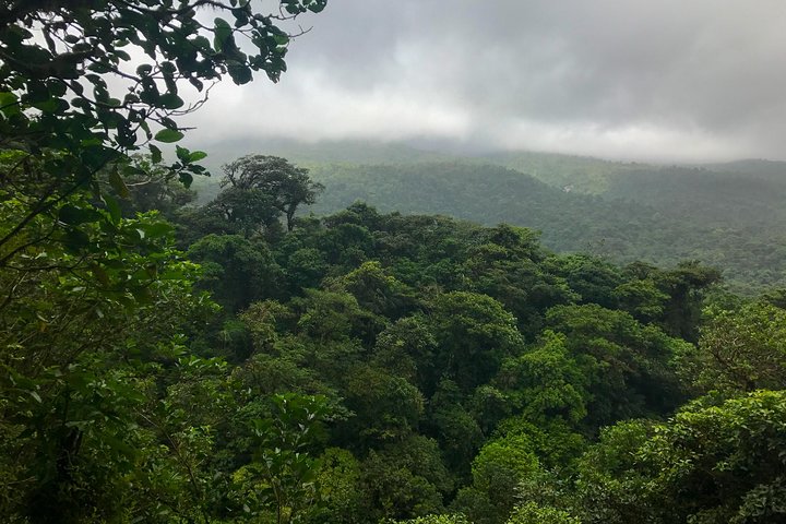 Tropical Rainforest, Hanging Bridges And Jungle Sloths Sanctuary