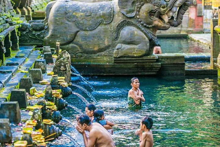 Ubud: Monkey Forest, Jungle Swing, Rice Terrace and Water Temple