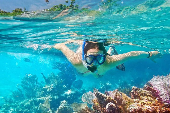 Bali Blue Lagoon Snorkeling with Lunch & Private Hotel Transfer