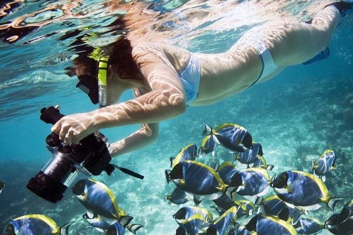 Bali Blue Lagoon Snorkeling with Lunch & Private Hotel Transfer