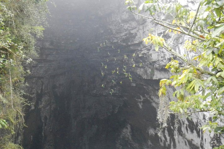 Surrealist Garden Tour in Xilitla and Sotano de las Huahuas