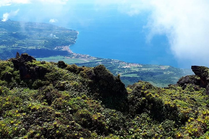 North Tour: rainforest, rum distillery, black sand beach etc